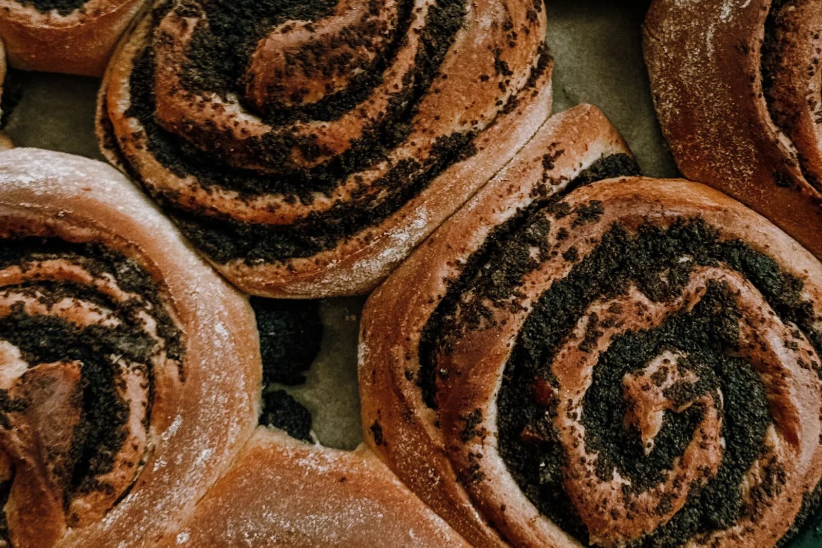 Kysnuté pečivo s makovou plnkou na plechu